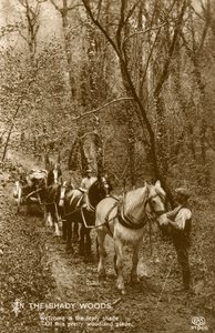 Nel bosco ombroso, fine 19° o inizio 20° secolo da Unbekannt