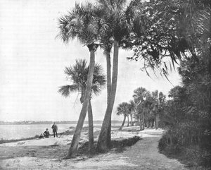 Indian River, Florida, USA, c1900 da Unbekannt