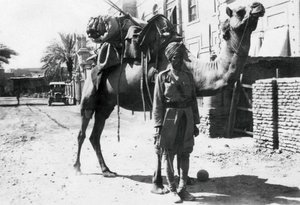 Cavaliere di cammelli indiano, Baghdad da Unbekannt