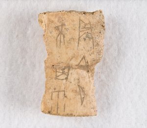 Frammento di osso iscritto, osso oracolare, tarda dinastia Shang, ca. 1300-1050 a.C.