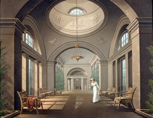 Interno della Voliera nel Palazzo di Pavlovsk, metà XIX secolo da Unbekannt