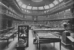 Interno del Museo Geologico, Jermyn Street, 1904 da Unbekannt