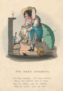 Ho vagato, 1828