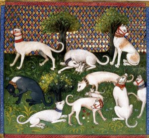 Cani da caccia (Alan) / Libro della caccia da Unbekannt