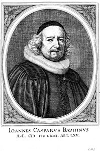 Jean Caspar Bauhin, medico e botanico svizzero da Unbekannt
