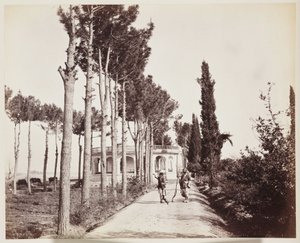 Jellallabad Il marciapiede del giardino dell