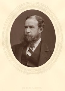 John Lubbock, Primo Barone Avebury, Banchiere Inglese, Archeologo, Naturalista e Politico da Unbekannt