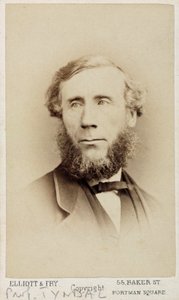 John Tyndall, fisico irlandese, c 1875 da Unbekannt