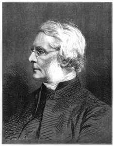 John William Colenso, vescovo di Natal, 1875 da Unbekannt