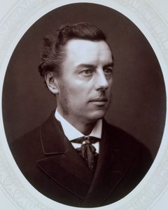 Joseph Chamberlain, politico liberale britannico, c1885 da Unbekannt