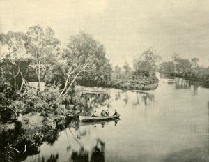 Incrocio dei fiumi Glengarry e Thompson, Victoria, 1901 da Unbekannt