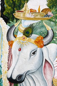 Mucca sacra Kamdhenu, Kathmandu, Nepal da Unbekannt