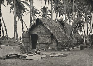 Palme da cocco e capanna di nativi fatta di foglie di cocco da Unbekannt