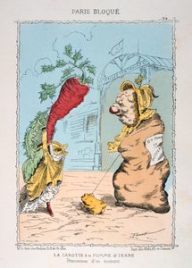 La Carota e la Patata