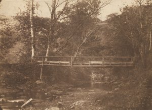 Paesaggio con alberi e ponte