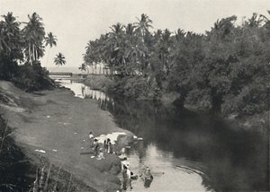 Paesaggio sul fiume presso Dehiwala, tra Colombo e Mount Lavinia, 1926 da Unbekannt