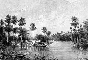 Las Palmes Lagunas, vicino alla foce del Pilcomayo, 1895 da Unbekannt