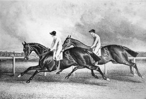Launcelot e Maroon da Unbekannt