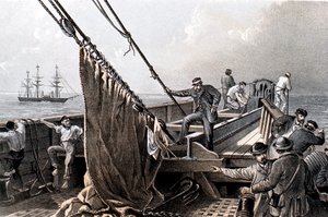 Posa del cavo telegrafico transatlantico, 1865 1866 da Unbekannt
