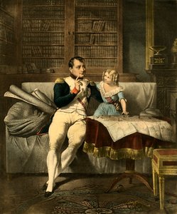 Le Cabinet de Napoléon