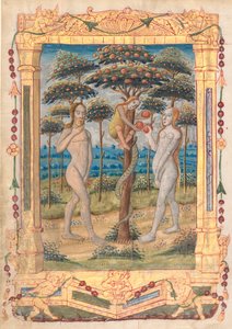 Foglio da un Libro d