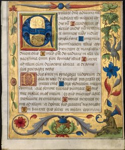 Foglio da un Salterio e Libro di Preghiere: Iniziale E con Bordo Ornamentale...recto, c. 1524 da Unbekannt
