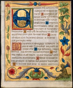Foglio da un Salterio e Libro di Preghiere da Unbekannt