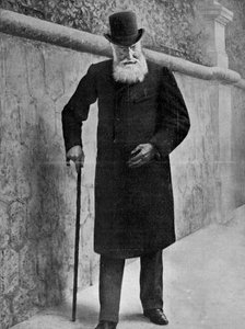Leopoldo II, Re dei Belgi da Unbekannt