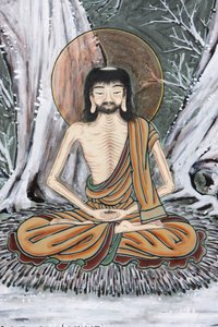 Vita del Buddha, Il giovane asceta praticò un