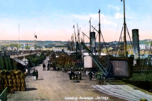 Caricamento delle patate, Jersey, 1908 da Unbekannt