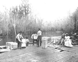 Caricamento di arance sul fiume Ocklawaha, Florida, USA, c1900 da Unbekannt