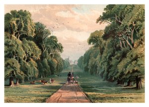 Long Walk, Windsor Park, 1880 da Unbekannt