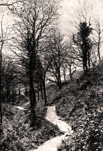 Viale degli Amanti, Fairlight, Hastings, Sussex da Unbekannt