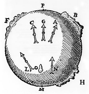 Magnetismo, 1600