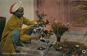 Giardiniere, c1910