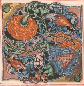 Illustrazione di manoscritto con iniziale S, da un libro corale da Unbekannt