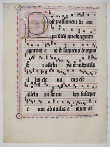 Foglio di manoscritto con iniziale P, da un antifonario, tedesco, secondo quarto del XV secolo