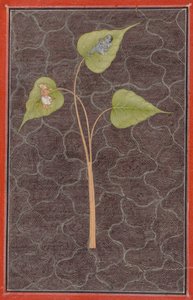 Markandeya che osserva Krishna nell