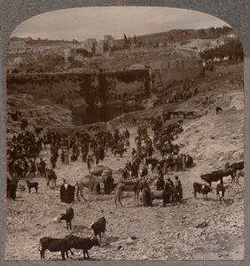 Giorno di mercato alla piscina di Gihon, c1900 da Unbekannt