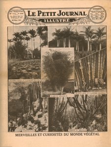 Meraviglie e curiosità del mondo vegetale, 1931 da Unbekannt