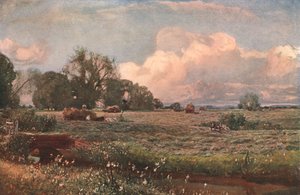 Dolci di prato, 1893, c1902 da Unbekannt