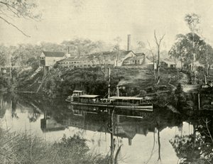 Macelli, vicino a Grafton, Nuovo Galles del Sud, 1901 da Unbekannt
