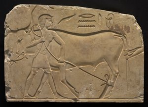 Uomini che legano un bue, 667-647 a.C.