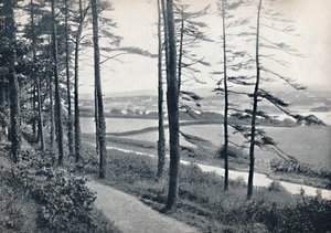 Menai - Da Bangor Wood, 1895 da Unbekannt