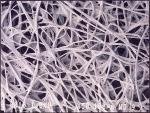 Micrografie (Luce) Tessuto chemotessile, micrografia a luce da Unbekannt