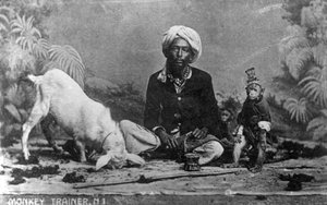 Addestratore di scimmie, India, XX secolo