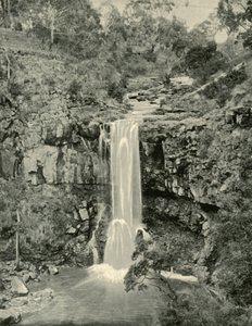 Cascate di Moorabool, Victoria, 1901 da Unbekannt