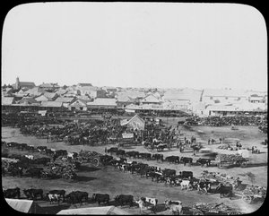 Mercato mattutino, Kimberley, Sudafrica, c1890 da Unbekannt