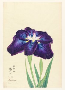 Monte Kyodai (Kyodaisan) da Unbekannt