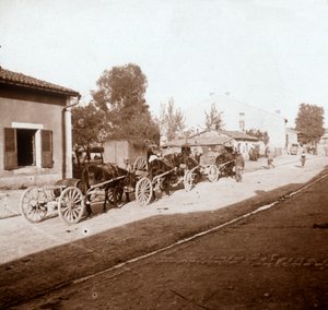 Carri di muli con rifornimenti, Verdun, Francia settentrionale, c1914-c1918 da Unbekannt